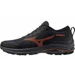 Кроссовки мужские Mizuno Wave Rider GTX