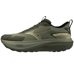 Кроссовки мужские Mizuno Wave Rider TT 4