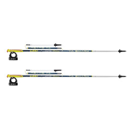 Leki Micro Trail TA