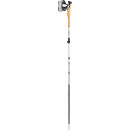 Leki Cross Trail FX Superlite black 110-130